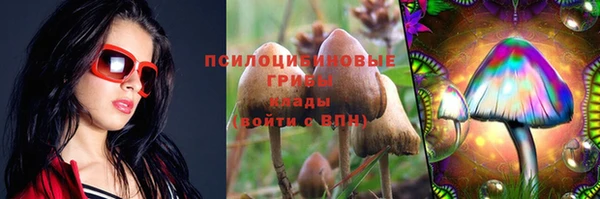 стаф Армянск
