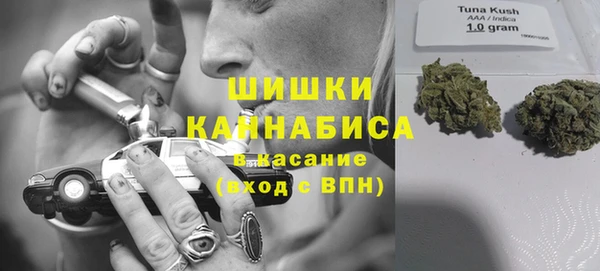 гидропоника Новокубанск