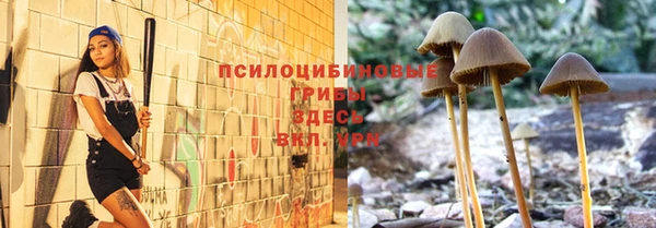 марки nbome Аркадак