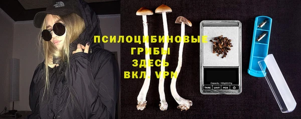 марки lsd Новозыбков